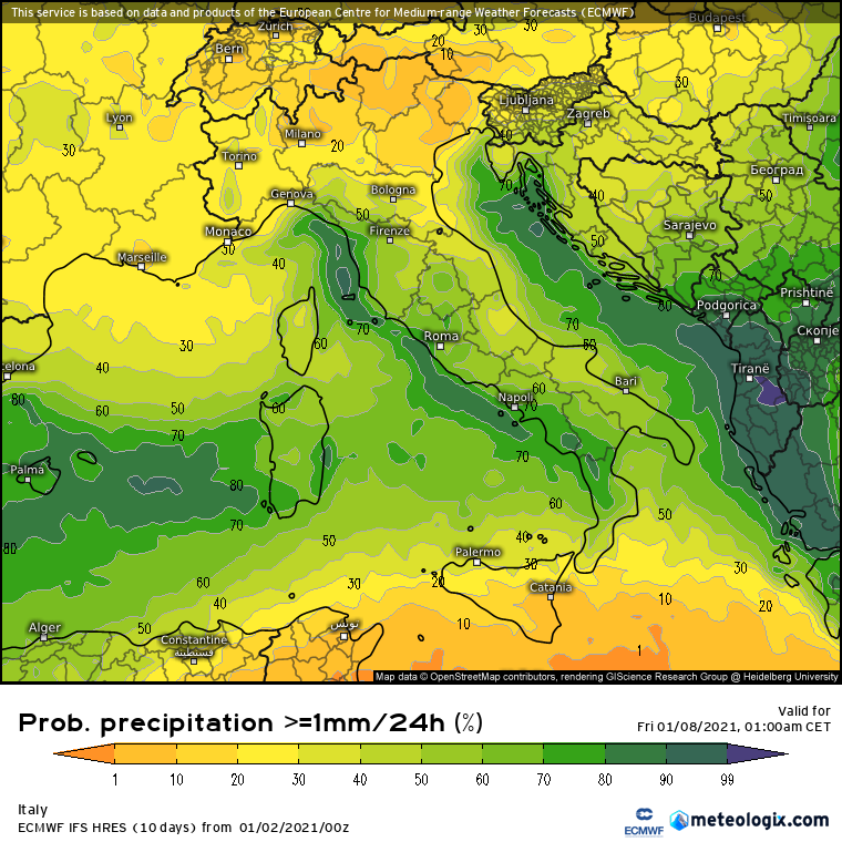 Neve a gennaio 2021?